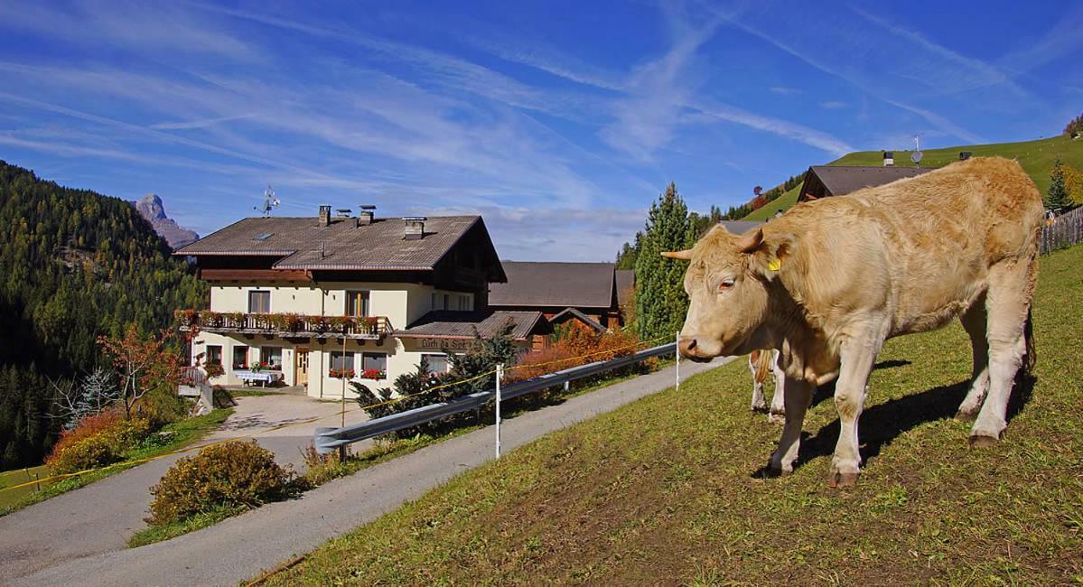 Luech Da Spescia Villa La Valle Exterior photo
